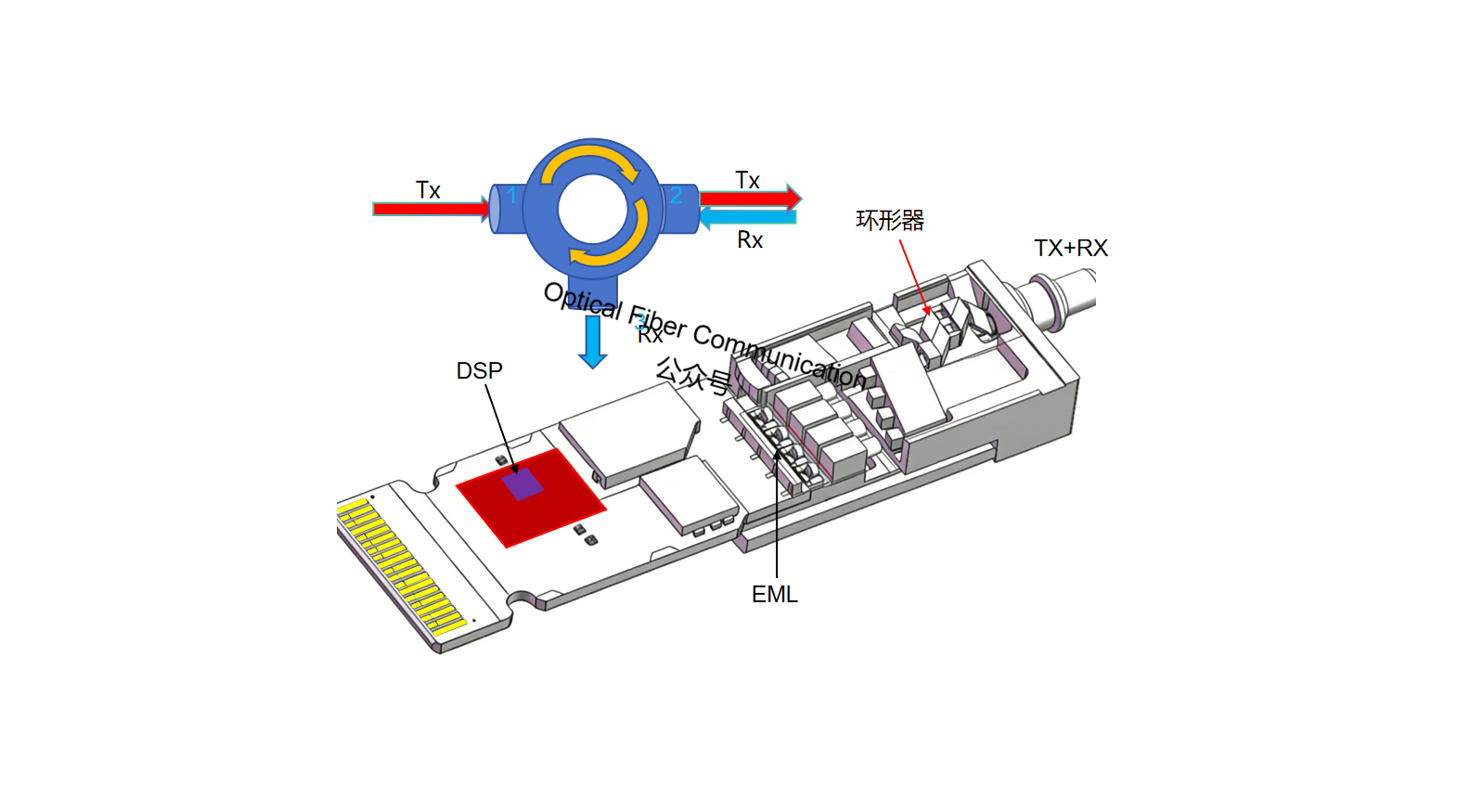 Google 的 TPUv7 与光模块、