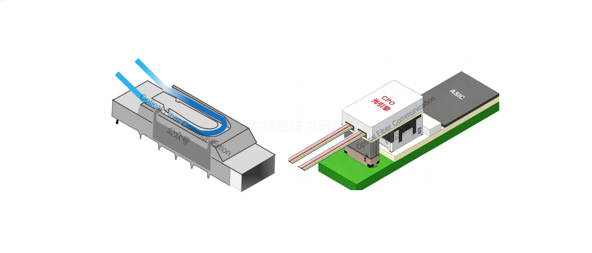 Ciena：448G 技术生态的现状和一