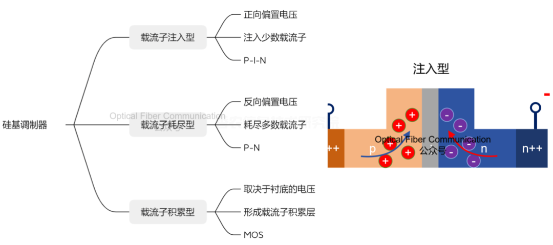 硅光与 TFLN 调制器的传输损耗对比